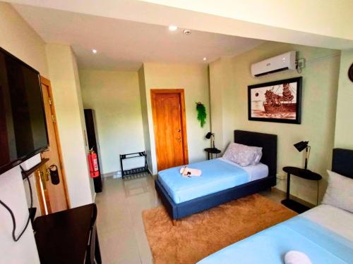 a bedroom with a bed and a flat screen tv at ONYX B&B Bed and Breakfast in Euscara