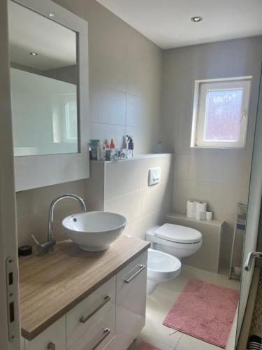 a bathroom with a sink and a toilet and a mirror at Luxury 2 Apartment in Bijelo Polje