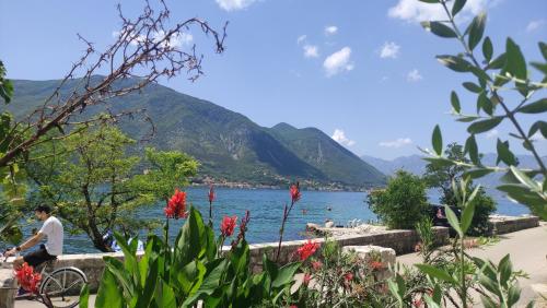 Gallery image of Kadena Apartments in Kotor