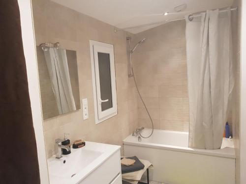 une salle de bain avec un lavabo, une baignoire et une douche dans l'établissement Gîtes L'Infinity - 4 Chambres, à Châteauthébaud