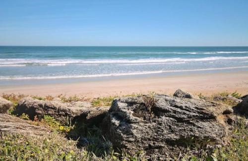 a beach with a large rock and the ocean at Chadham by the Sea 413 in New Smyrna Beach