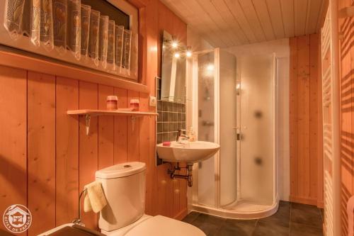 a bathroom with a toilet and a sink and a shower at Le Balcon de Novel - Chalet en pleine nature in Novel