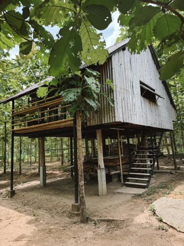 a tree house in the middle of a forest at The Forest - Sell the Experience in Pai