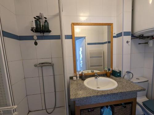 une salle de bain avec un lavabo et un miroir dans l'établissement Magnifique T1 bis à proximité de Paris, à Fontenay-aux-Roses