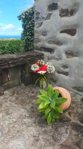 two vases of flowers sitting next to a stone wall at Casas da Quinta in Santa Cruz das Flores