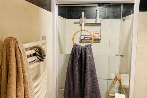 La salle de bains est pourvue d'une serviette suspendue à une porte de douche. dans l'établissement Résidence au bord de l étang de Thau, à Marseillan