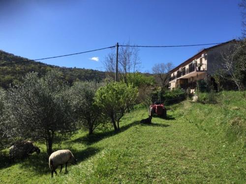 Studio Julijana, Salara farmhouse
