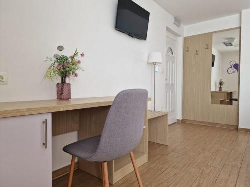 a living room with a chair and a television at Pension Augustino in Ražanac
