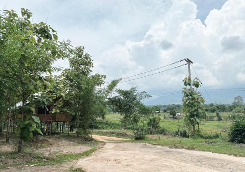 a dirt road in a field with trees at The Forest - Sell the Experience in Pai