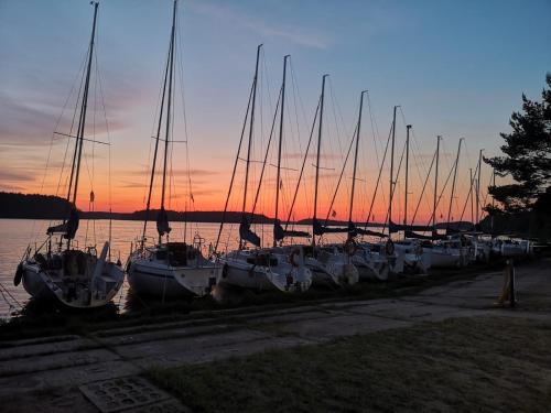 a group of boats docked in the water at sunset at Dzik w zagrodzie in Borsk