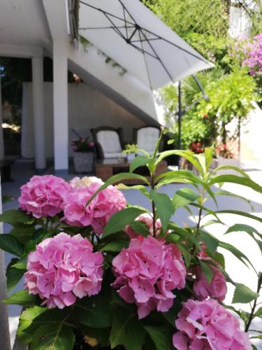 un ramo de flores rosas y un paraguas en Apartments Poretti for 2,in Center Parking Free in the yard,6 min beach walk, en Rovinj