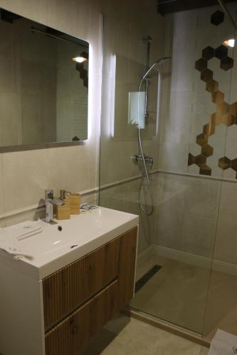 a bathroom with a sink and a shower at Domeniul Mortasifu in Nişcov