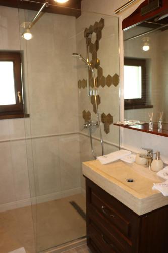 a bathroom with a shower and a sink at Domeniul Mortasifu in Nişcov