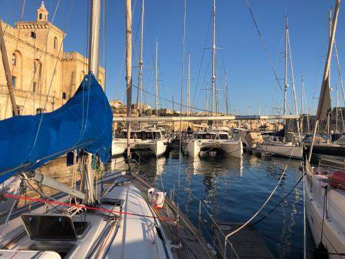 a bunch of boats are docked in a harbor at Entire boat 3 cabins in Birgu vittoriosa in Birgu