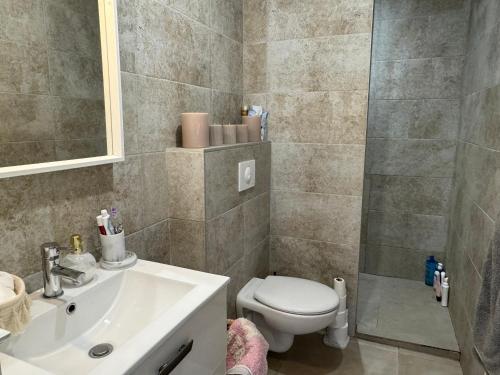 a bathroom with a toilet and a sink and a shower at Logement 5 mn de la mer Milla 2 in Ventiseri