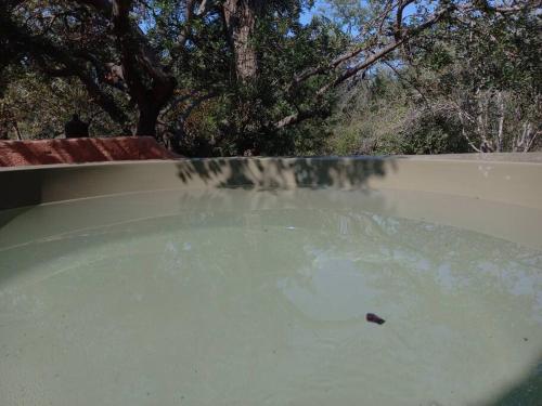 a pool of water with a stick in it at The Eco Hut in Hoedspruit