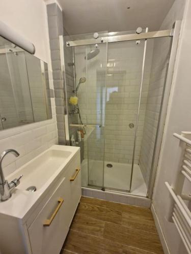 une salle de bain avec une douche et un lavabo et une douche dans l'établissement Le lumineux P2 de ST Guilhem, à Montpellier