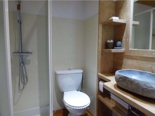 une salle de bain avec un lavabo, des toilettes et une douche dans l'établissement Agréable appartement montagnard pour 6 pers. proche commerces et télécabines - FR-1-458-149, au Grand-Bornand