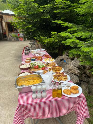 Gallery image of Guest House BOZVILL in Bozovec