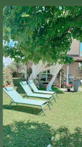 a group of lounge chairs sitting under a tree at Villa SouAri 10' da Forte de Marmi - 2km spiaggia in Lido di Camaiore