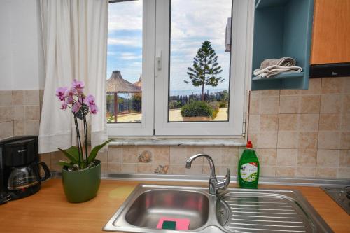 Η κουζίνα ή μικρή κουζίνα στο Kallithea Apartments