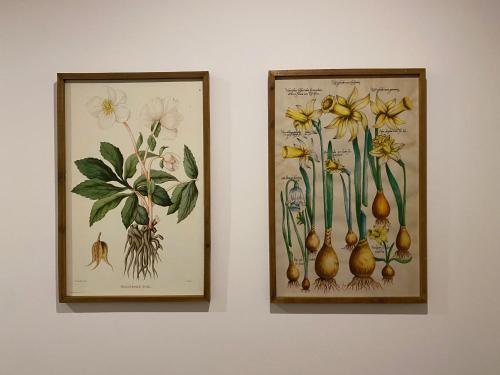 two pictures of flowers are hanging on a wall at Waldblick - Holiday home with wellness in Ouren in Burg-Reuland