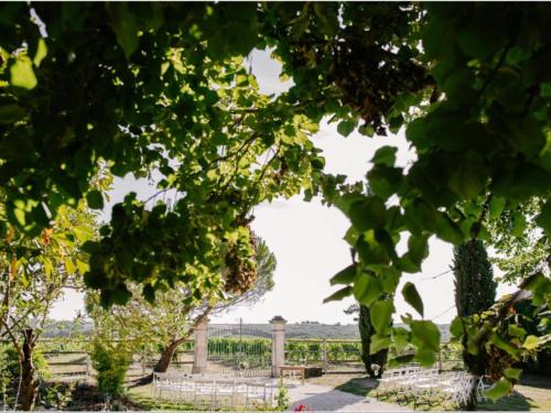 Gallery image of Paradis Des Vignes in Birac