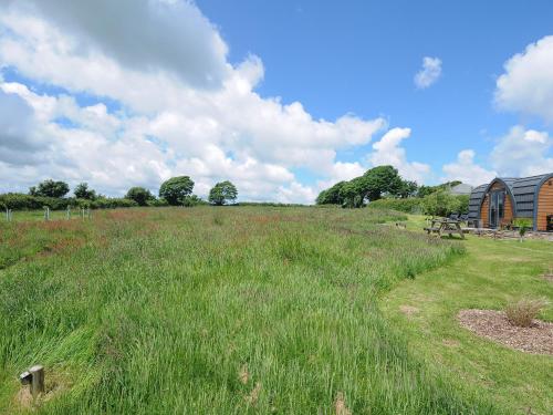 a field of grass with a barn in the background at Hornbeam in Launceston