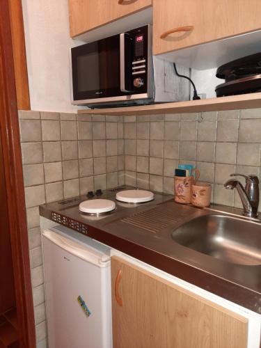 une petite cuisine avec un évier et un micro-ondes dans l'établissement Studio meublé montagne, à Saint-Léger-les-Mélèzes