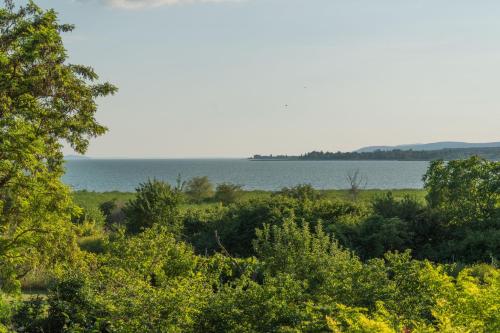 a view of the water from a field with trees at Villa Sajkod in Tihany