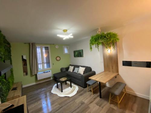 un salon avec un canapé et une table dans l'établissement Magnifique Appartement Avignon Intra-Muros, à Avignon