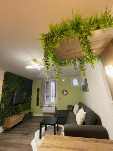 Magnifique Appartement Avignon Intra-Muros