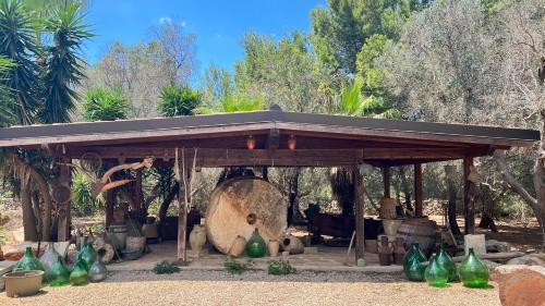 En have udenfor Crumisi - turismo rurale salento