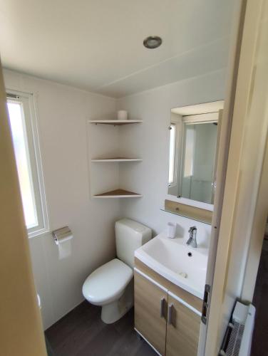 une salle de bain avec toilettes, lavabo et miroir dans l'établissement MOBIL HOME 40M2 ECRIN DE VERDURE, à Rocbaron