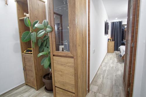 a hallway with a wooden door and a plant at Casa Mia in Câmpulung Moldovenesc