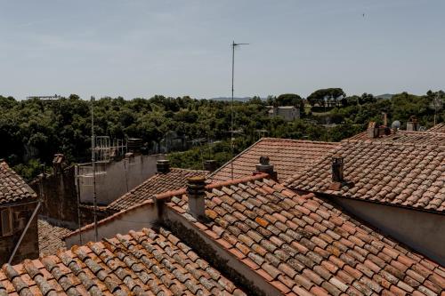 an overhead view of roofs with trees in the background at Neoclassico by Tiziana Monaldi in Pitigliano