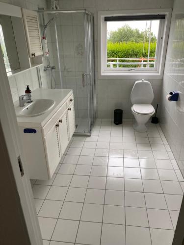 a bathroom with a toilet and a sink and a window at Ingvilds hybelleilighet in Kristiansand