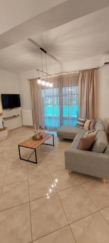 TV a/nebo společenská místnost v ubytování Achilleas Apartment