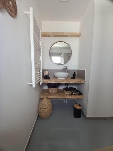 une salle de bain avec un lavabo et un miroir dans l'établissement Studio meublé, Le Figuier d'Elian, à Saint-Médard-en-Jalles
