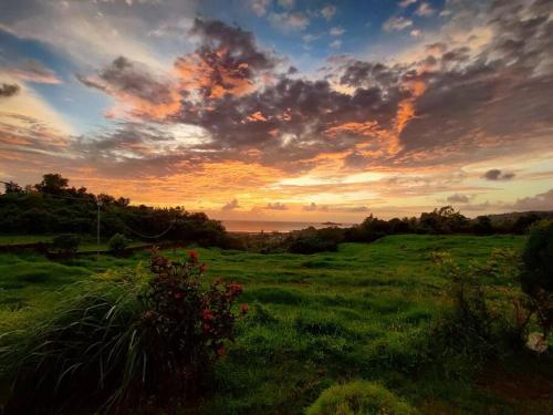 a sunset in a field with green grass and flowers at The Pearly Gates Twin Villa in Dande
