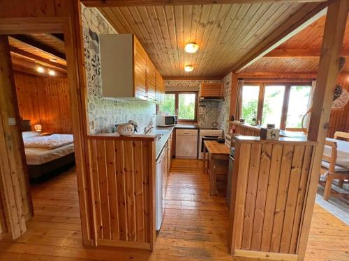 a kitchen with wooden walls and wooden flooring in a cabin at Hortensias in Somme-Leuze