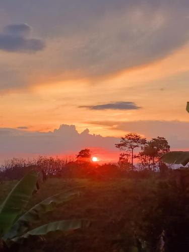 a sunset in a field with trees in the background at Cabañas la Miranda in Filandia