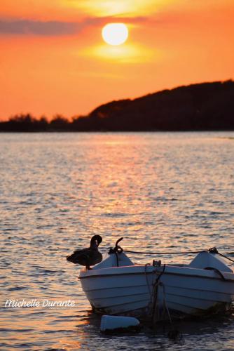 a bird sitting on a boat in the water at sunset at B&B Casa di Emma in Porto Cesareo