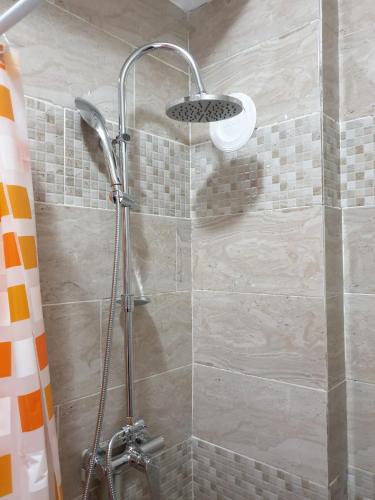 a shower with a shower head in a bathroom at Vila Giovanni in Orşova