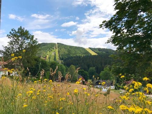 a field of yellow flowers in front of a mountain at Apartmán Resident A001 - BEZBARIÉROVÝ Apartmán ideální pro rodiny s dětmi, v těsné blízkosti Anenského údolí, bobové dráhy, Ski areálů, Ski školy, FREE PARKING, FREE WIFI, výhled do zahrady s posezením na terase, dětské hřiště v areálu in Harrachov