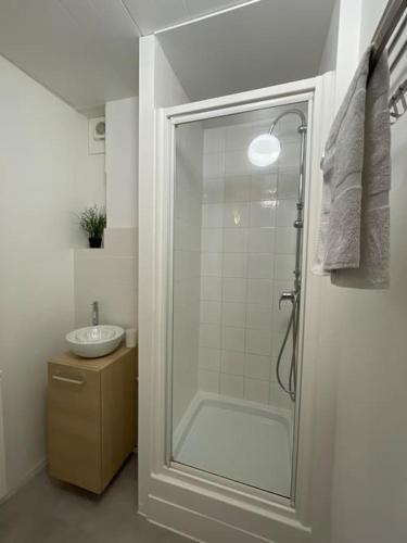 a bathroom with a shower and a sink at Rouen Port de plaisance et MIN - Appart lumineux in Rouen