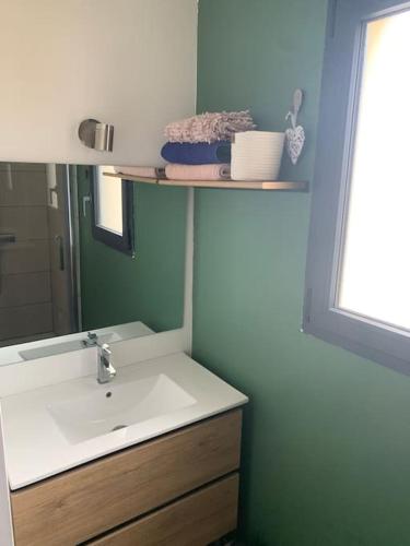 une salle de bain avec un lavabo et un miroir dans l'établissement l étoile de mer logement 4, à Sainte-Marie-la-Mer