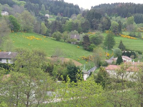 a green hillside with houses and a field of flowers at Le Val Danse - Maison de caractère de 1870 - Rénovée en 2020 in Saint-Anthème