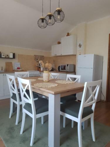 a kitchen with a table with chairs and a refrigerator at Apartman Bepo in Gospić