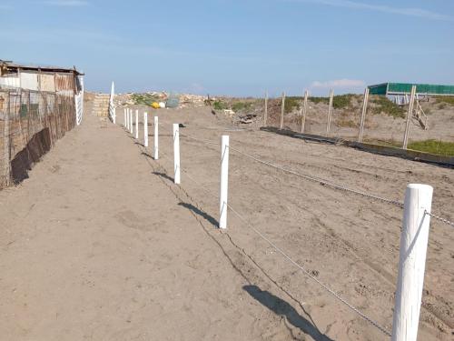 Фотография из галереи Villa Hermosa Beach в Маргерита-ди-Савойя